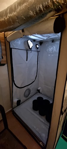 Growreport Bild 17