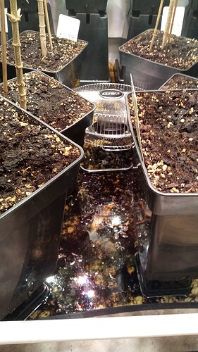 Growreport Bild 1