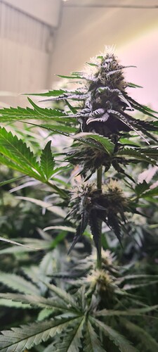 Growreport Bild 16