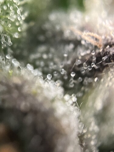 Growreport Bild 10