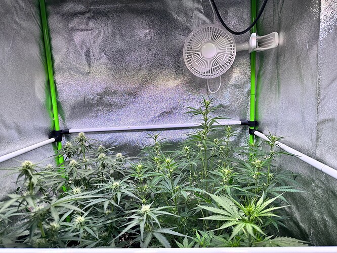 Growreport Bild 17