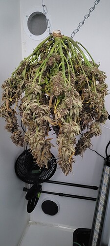 Growreport Bild 6