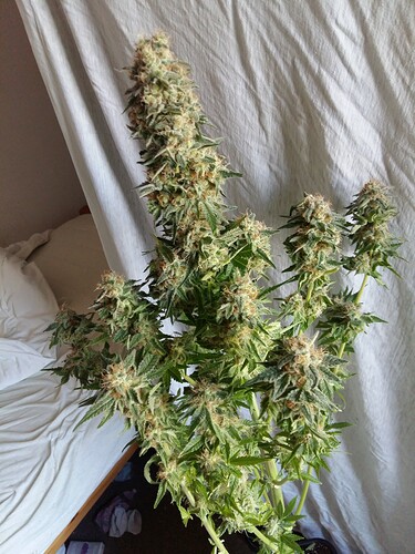 Growreport Bild 23