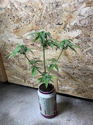 Growreport Bild 10