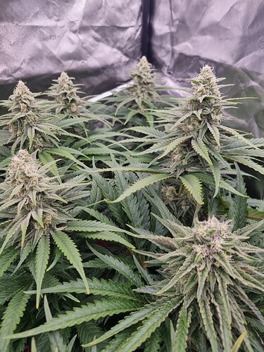 Growreport Bild 26
