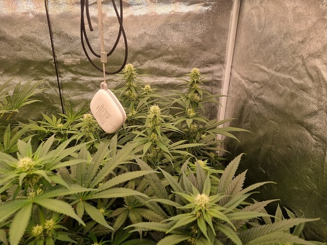 Growreport Bild 35