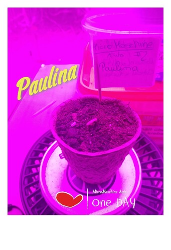 IMG_20240112_161622_edit_112180205498403