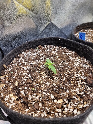 Growreport Bild 4