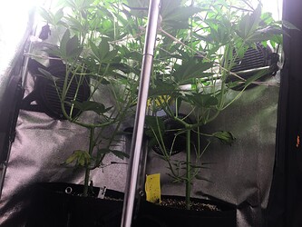Growreport Bild 26