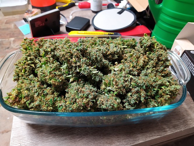 Growreport Bild 2