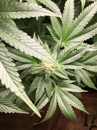 Growreport Bild 8