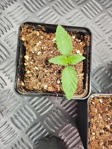 photo_2023-08-06_22-48-43