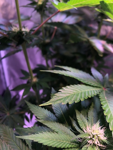 Growreport Bild 10