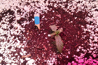 Growreport Bild 28