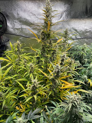 Growreport Bild 14