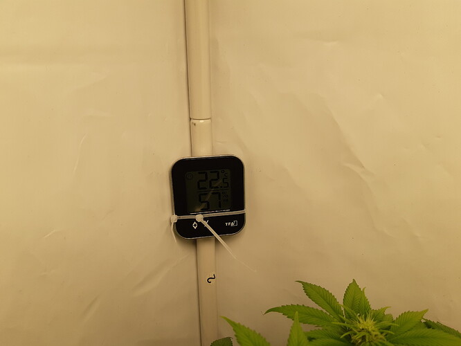 Growreport Bild 2