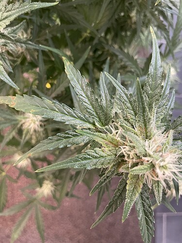 Growreport Bild 5