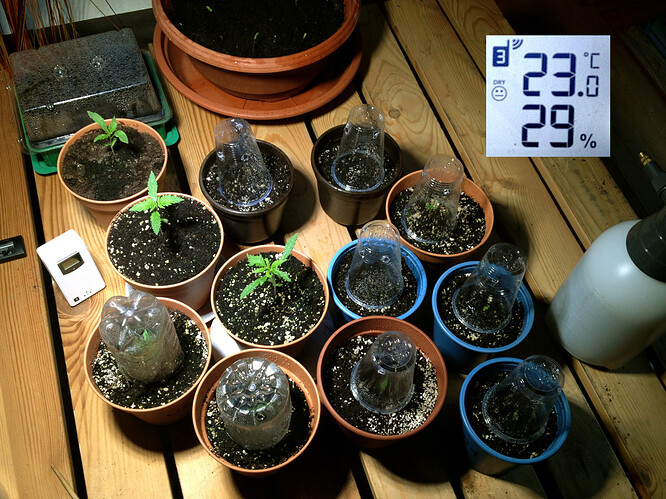 Growreport Bild 95
