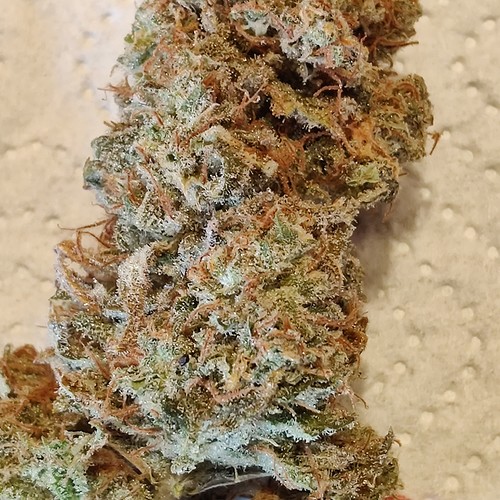 Growreport Bild 57