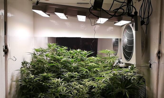 Growreport Bild 7