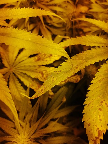 Growreport Bild 10