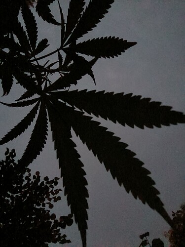 Growreport Bild 11