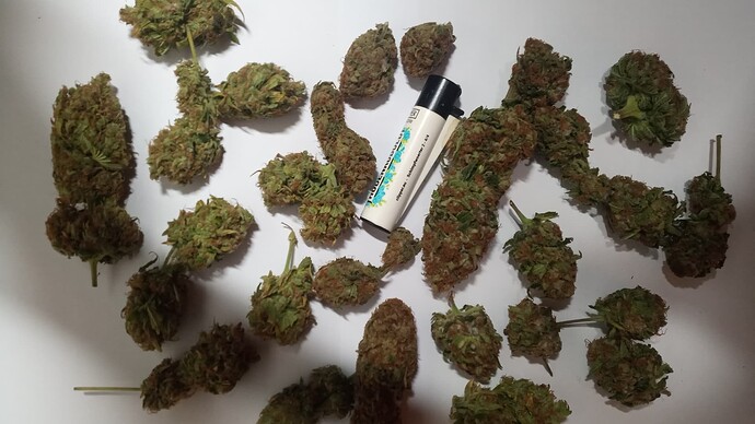 Growreport Bild 5