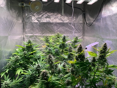 Growreport Bild 12