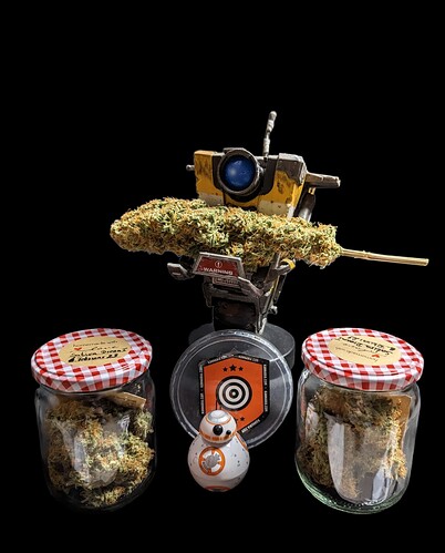 Growreport Bild 22