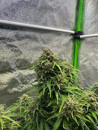 Growreport Bild 22