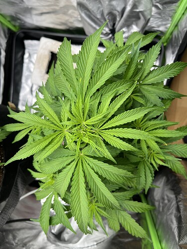 Growreport Bild 13