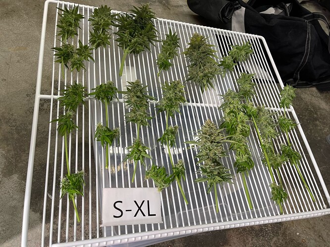 Growreport Bild 10