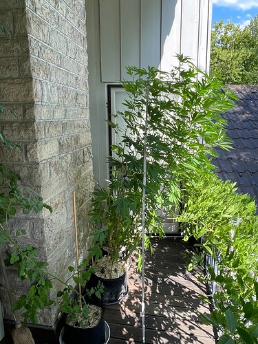 Growreport Bild 1