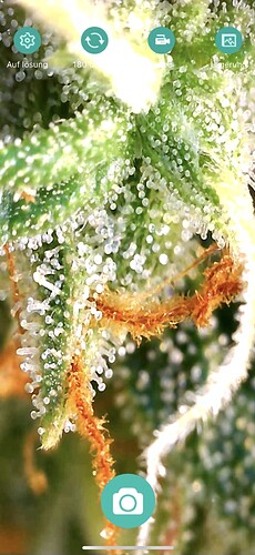 Growreport Bild 6