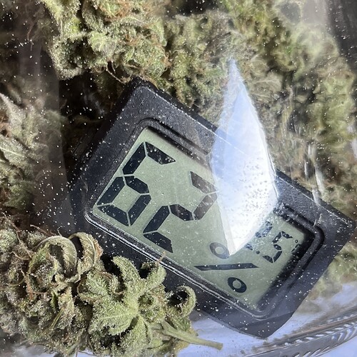 Growreport Bild 12