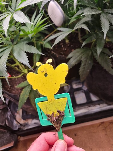 Growreport Bild 26