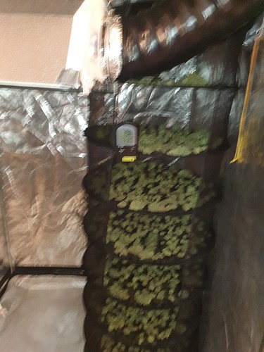 Growreport Bild 20