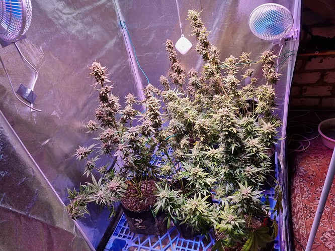 Growreport Bild 14