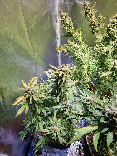 Growreport Bild 8