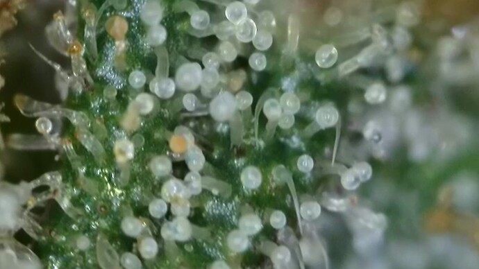 2022-06-25-033454328