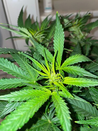 Growreport Bild 10