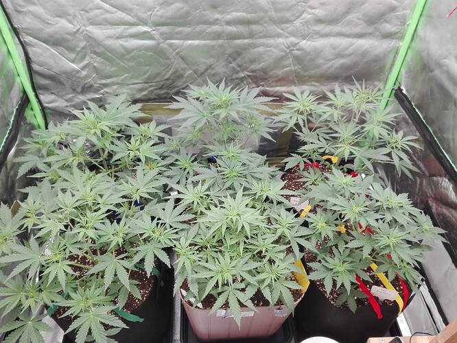 Growreport Bild 12