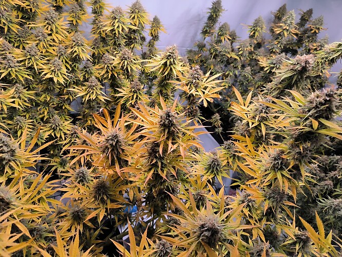 Growreport Bild 13