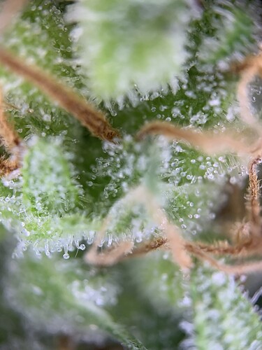 Growreport Bild 18