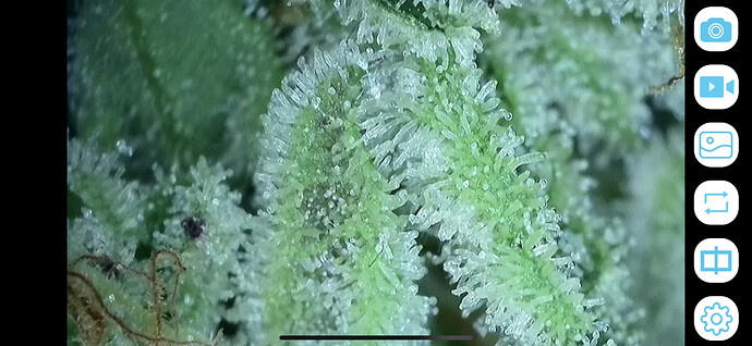 Growreport Bild 8