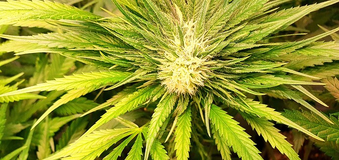 Growreport Bild 12