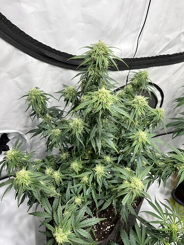 Growreport Bild 21