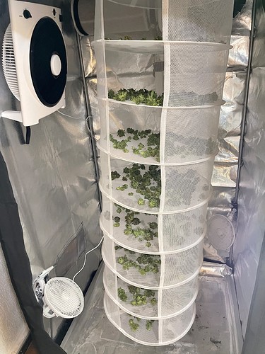 Growreport Bild 59