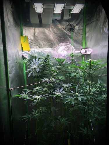 Growreport Bild 18