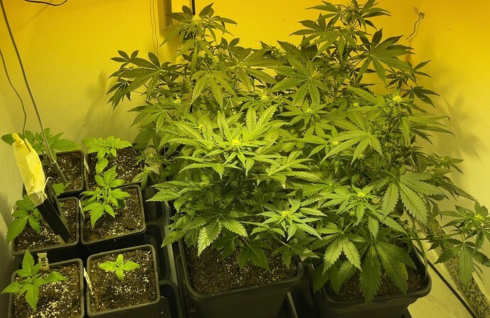 Growreport Bild 10